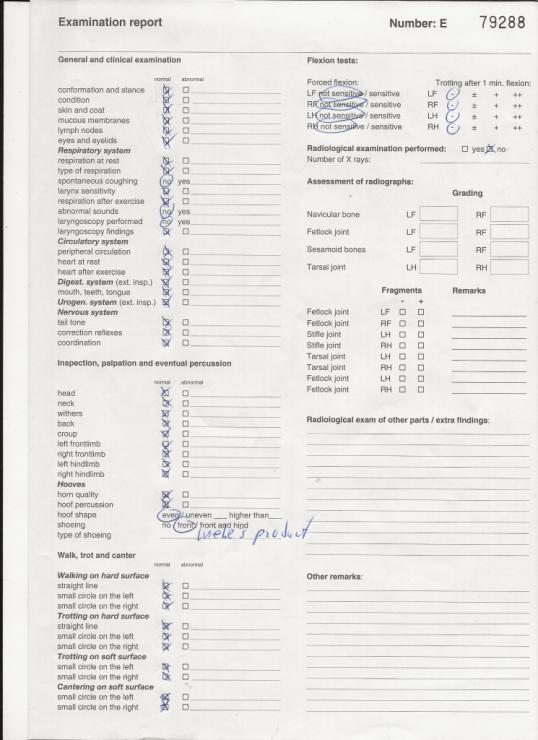 Gallery Photo of RONAN STER SPORT - #52